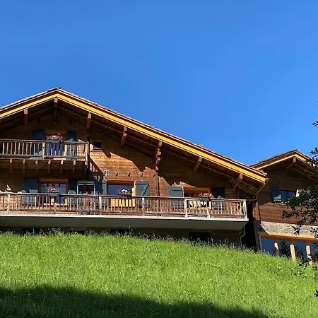 De L'ours, 4 Etoiles, Avec Et Proche Des Pistes *