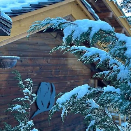 De L'ours, 4 Etoiles, Avec Et Proche Des Pistes Chalet La Clusaz