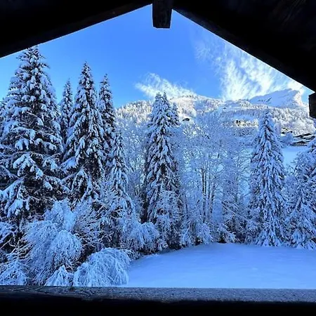 Chalet De L'ours, 4 Etoiles, Avec Et Proche Des Pistes La Clusaz