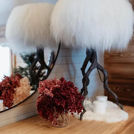 De L'ours, 4 Etoiles, Avec Et Proche Des Pistes